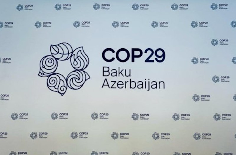 Müəyyən tənzimləmələr nəzərdə tutulur - COP29 dövründə