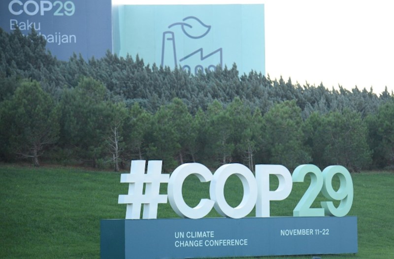 COP29 çərçivəsində Maliyyə Günü keçirilir