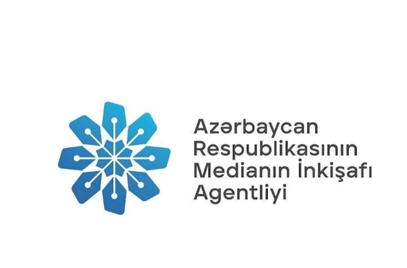 MEDİA AZAL təyyarəsinin qəzası ilə bağlı çağırış edib