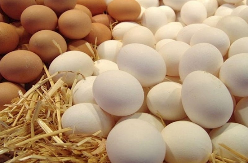 Azərbaycan Rusiyaya 6 gündə 3,9 milyon yumurta göndərib