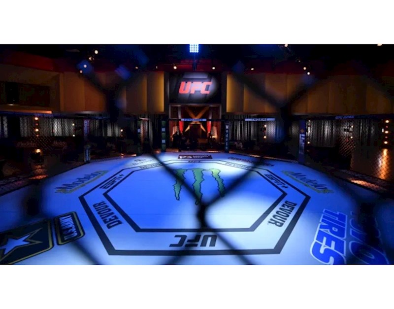 Bakıda keçiriləcək UFC turnirində iştirak edəcək döyüşçülərimizin siyahısı bəlli olub