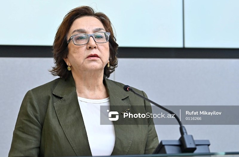 Məleykə Abbaszadə: "Mediada bizim işimizi müzakirə edənlər sanki paralel həyatda yaşayırlar"