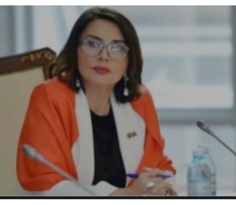 "Bu, sadəcə Azərbaycan tarixinin deyil, dəyişən dünya düzənində yeni tarixin başlanğıcıdır"