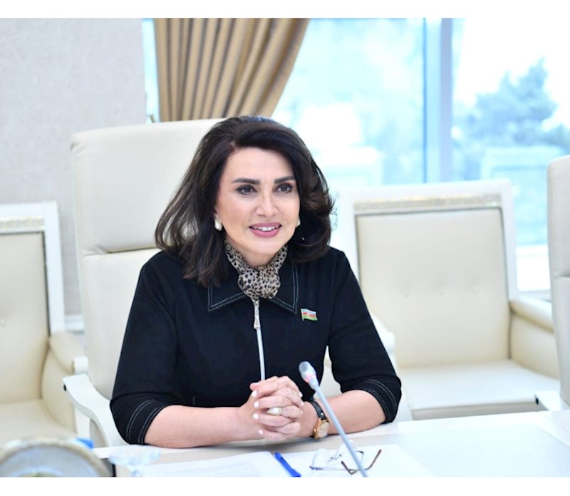 Jalə Əliyeva: Ermənistanın xilası yalnız Azərbaycanın şərtlərindədir